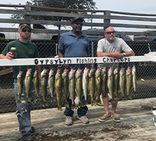 group of guys holding their walleye catch together