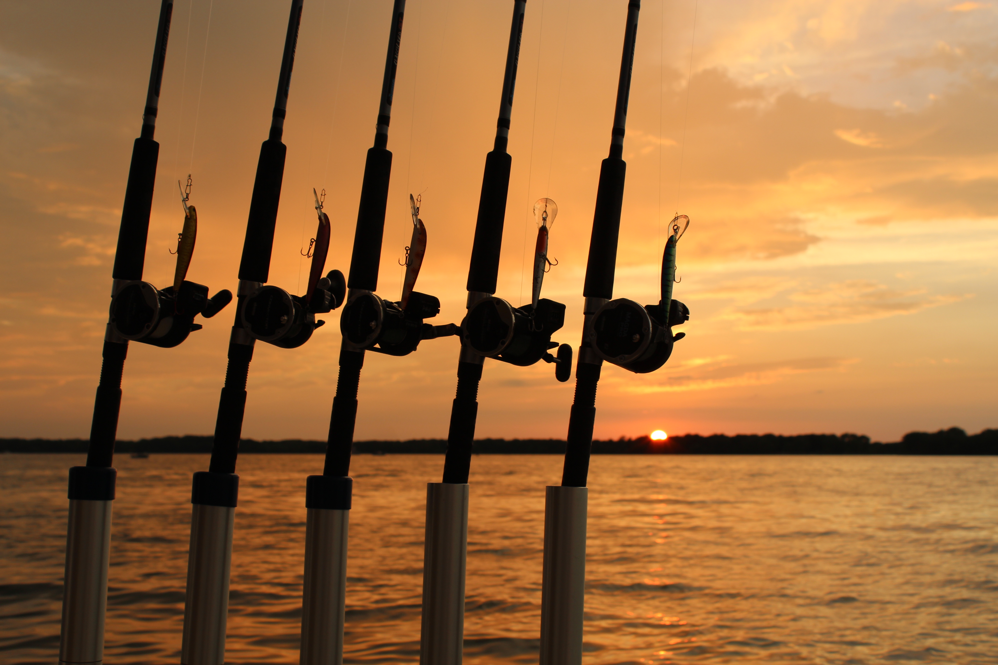 Sunset and fishing rods